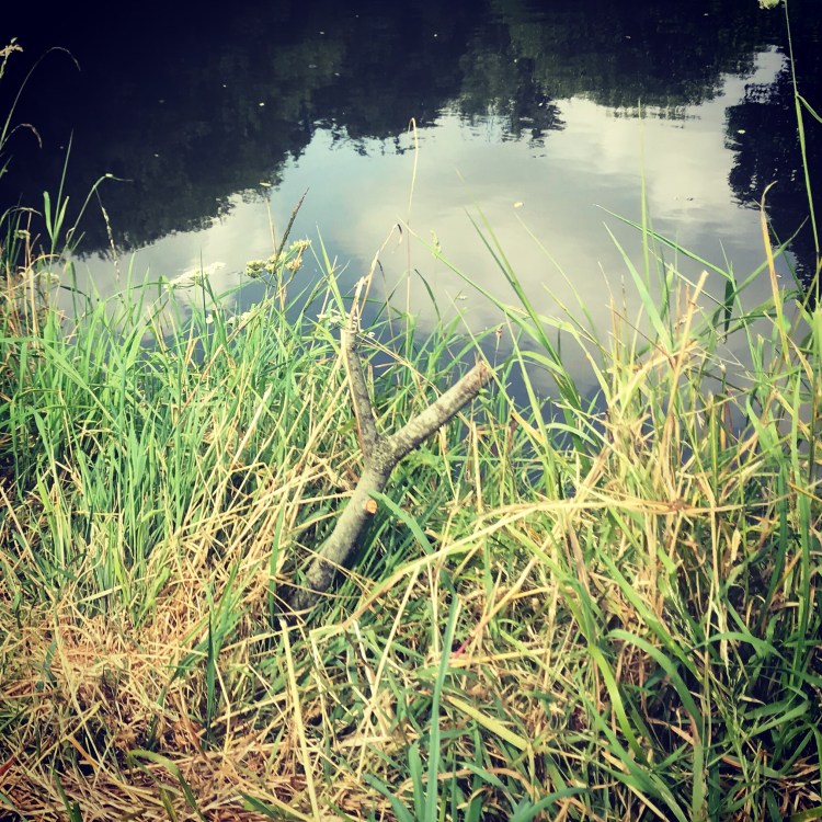 7B7CAB51-469D-4B7B-B23F-F50633E73CC1